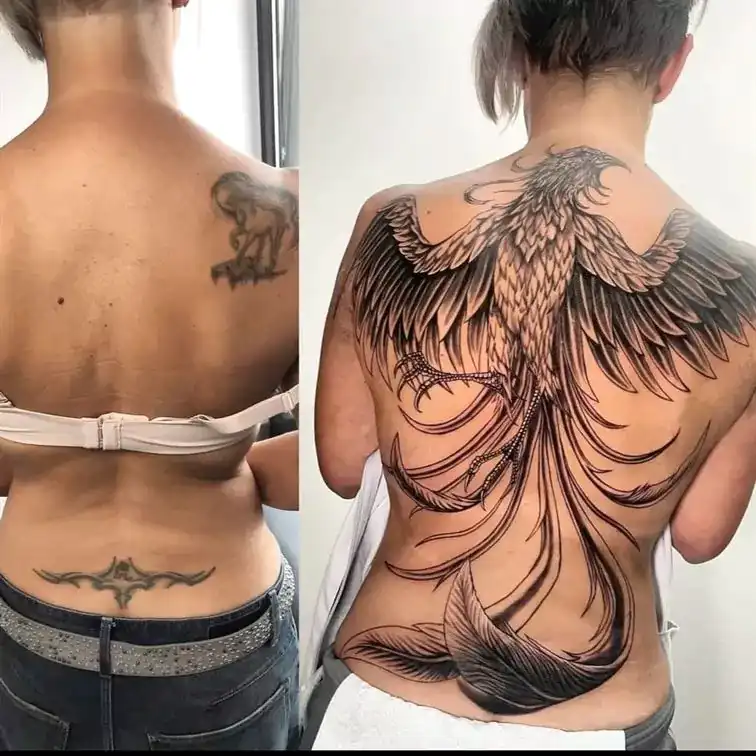 Cover Up 